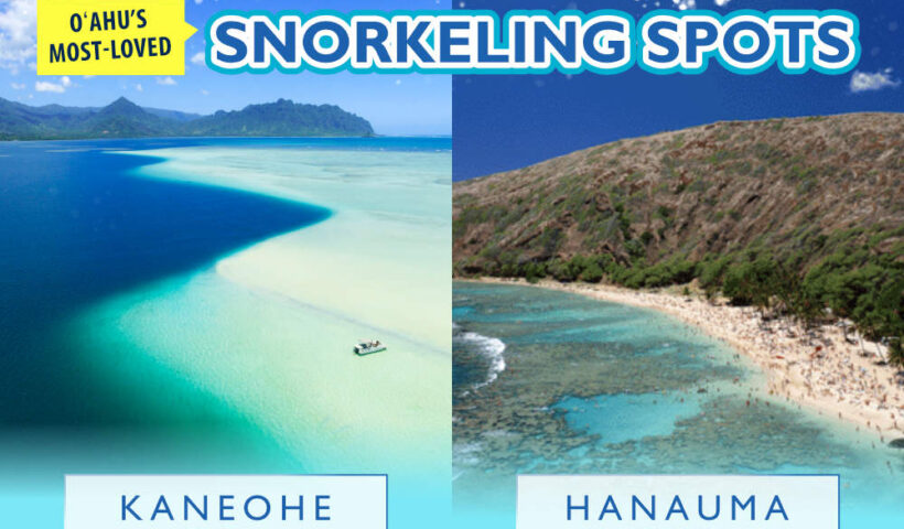 Hanauma Bay vs. Kaneohe Bay