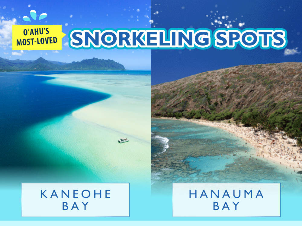 Hanauma Bay vs. Kaneohe Bay