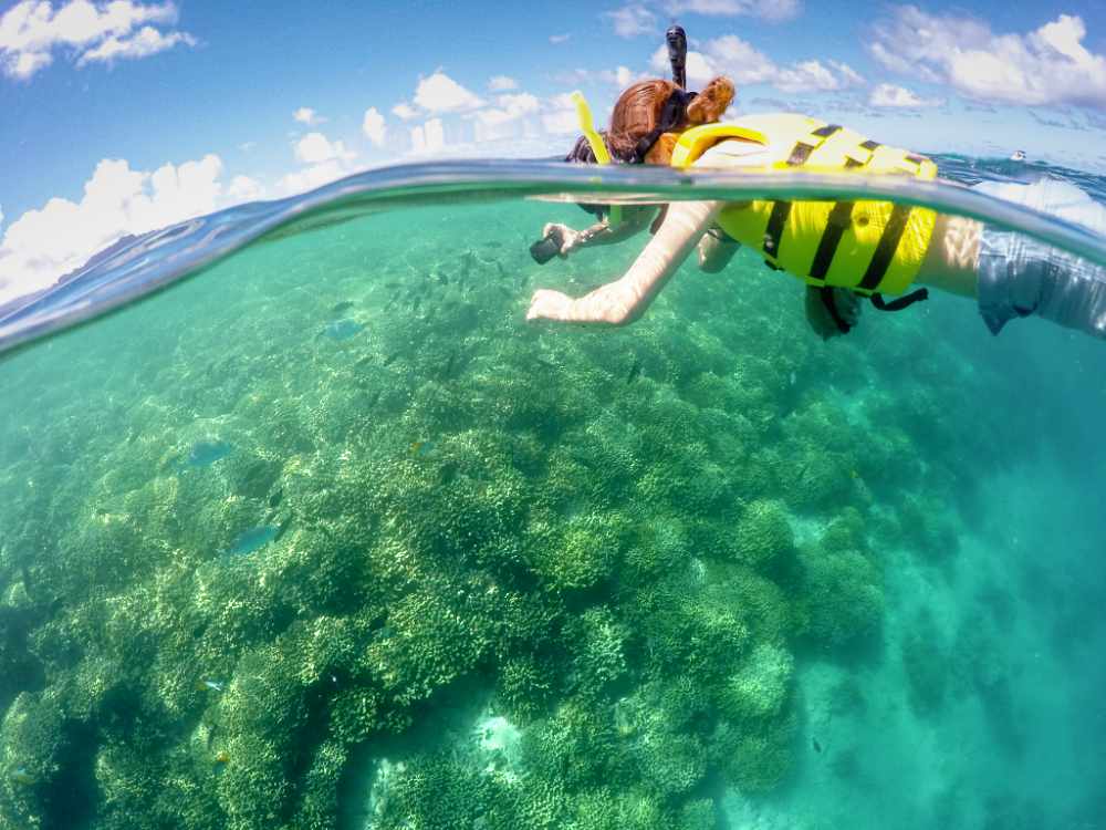 Snorkeling in Kaneohe Bay