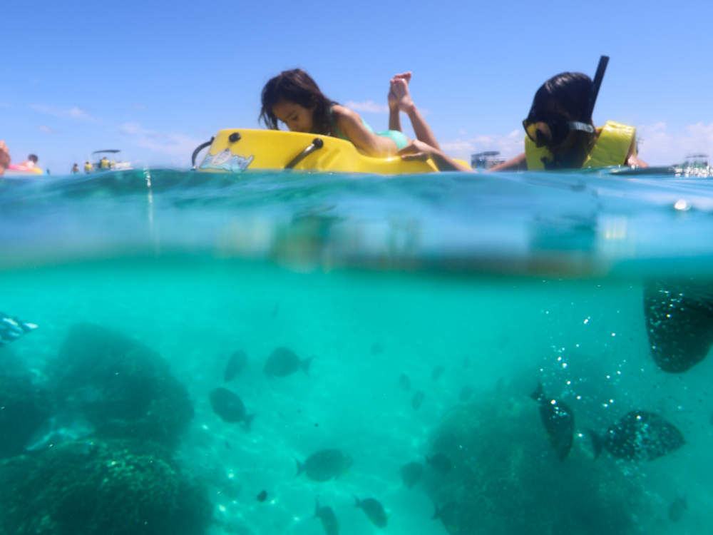 Snorkeling with Kids - Zayak