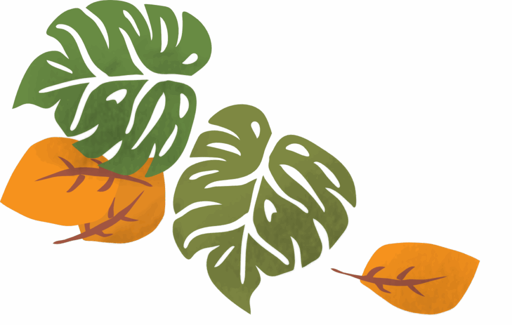 Autumn Vibe in Hawaii