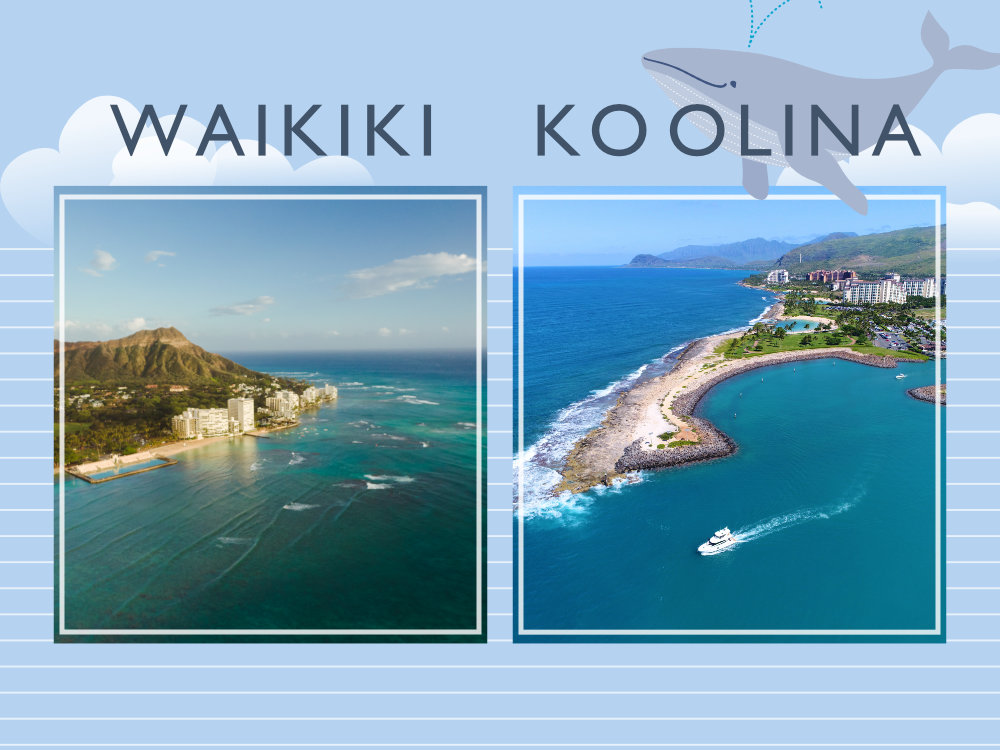 Whale Watching: Waikiki vs. Ko Olina