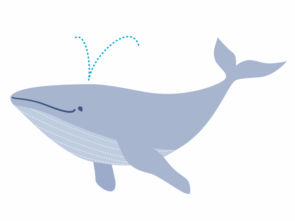 Whale season in Oahu
