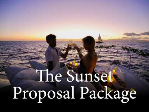 The Sunset Proposal Package