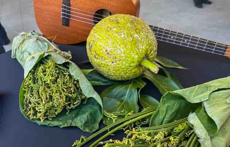 Hawaii Green Fee - A Taste of Sustainable Hawaii 8