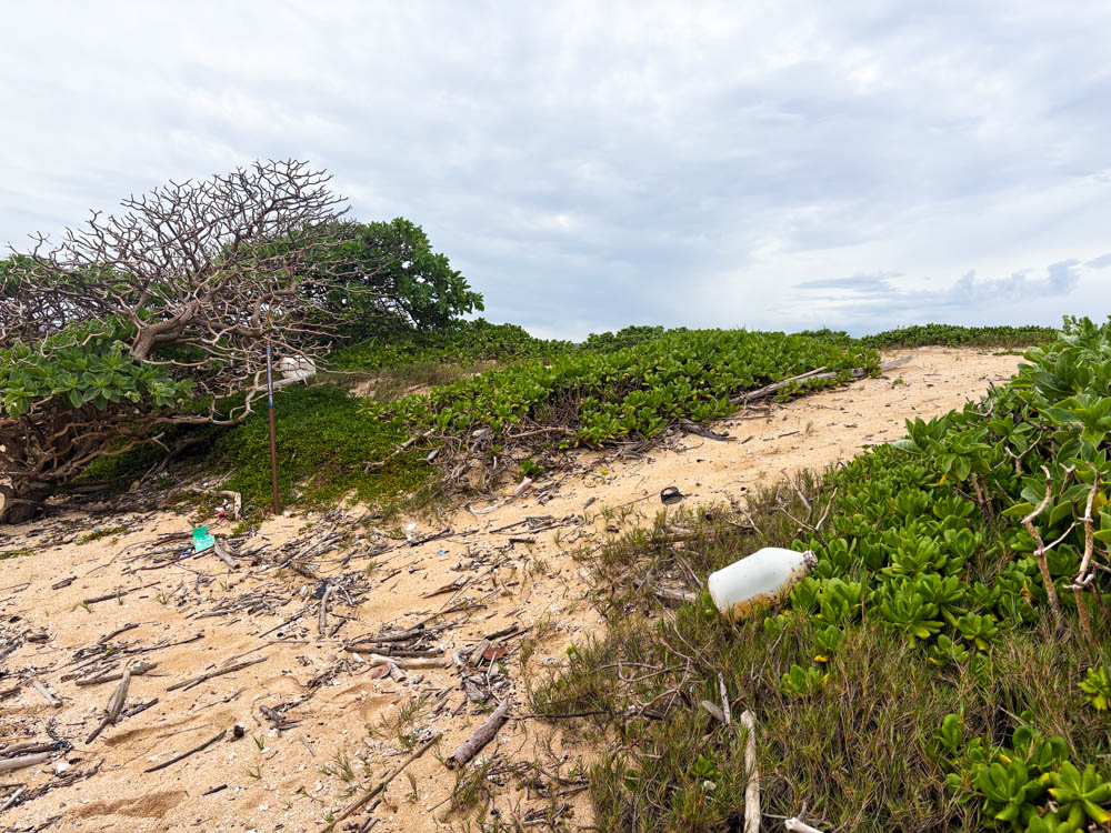 2026 Earth Day at North Shore 8