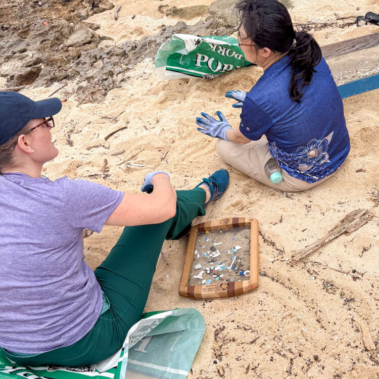 2026 Earth Day at North Shore 10