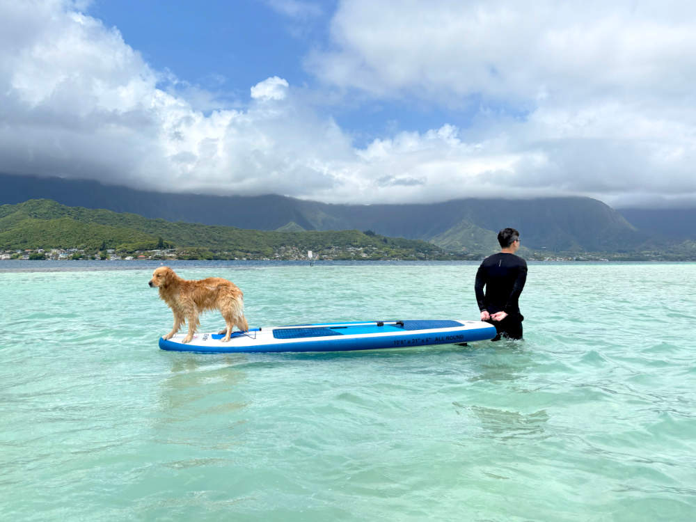 Hawaii dog friendly adventures 4