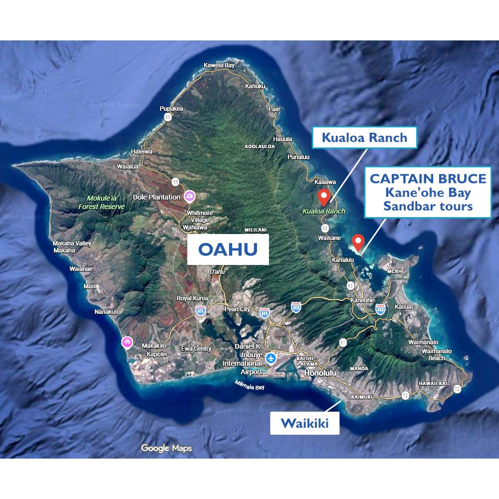 Kualoa Raunch - Kaneohe Bay 