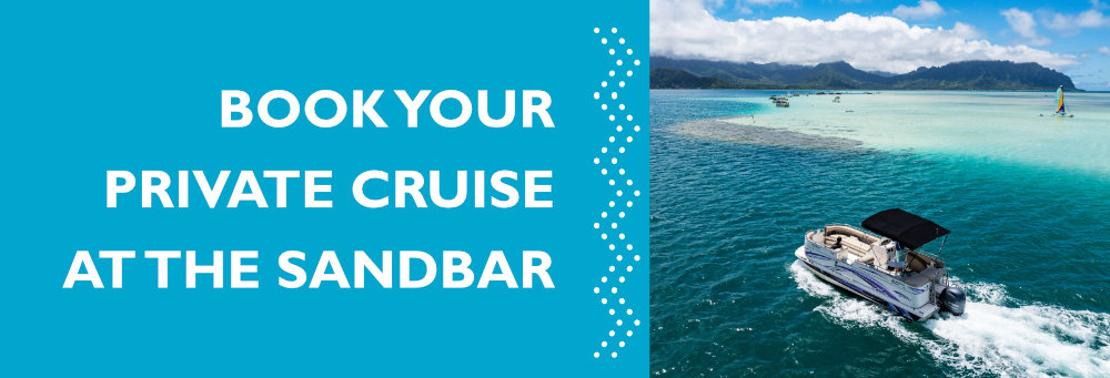 Book Your Private Cruise at The Sandbar